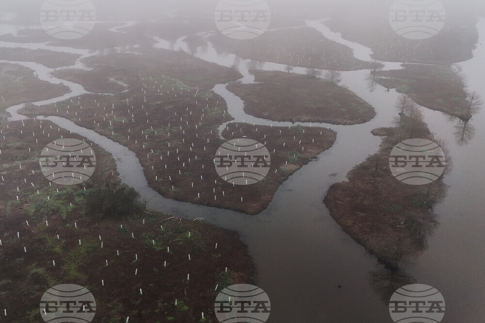 Climate Wetland Restoration Tree Planting