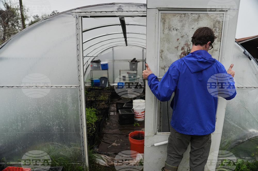 Climate Wetland Restoration Tree Planting