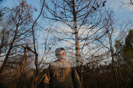 Climate Wetland Restoration Tree Planting