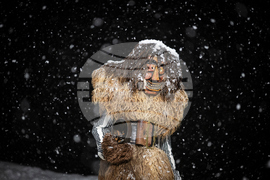 Switzerland Carnival