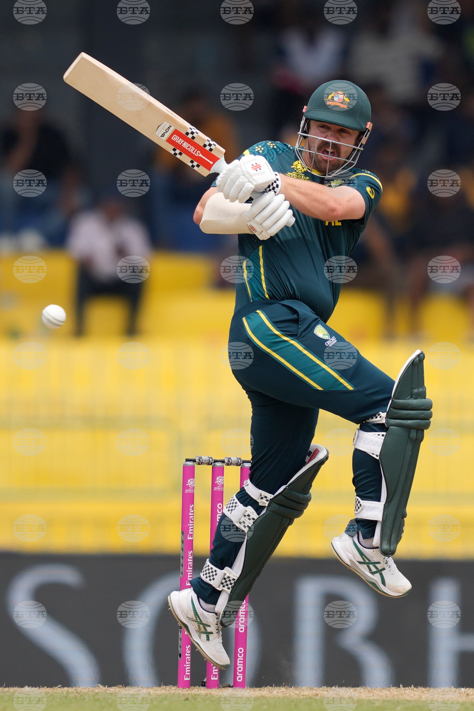 Australia Zimbabwe T20 WCup Cricket
