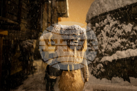 Switzerland Carnival