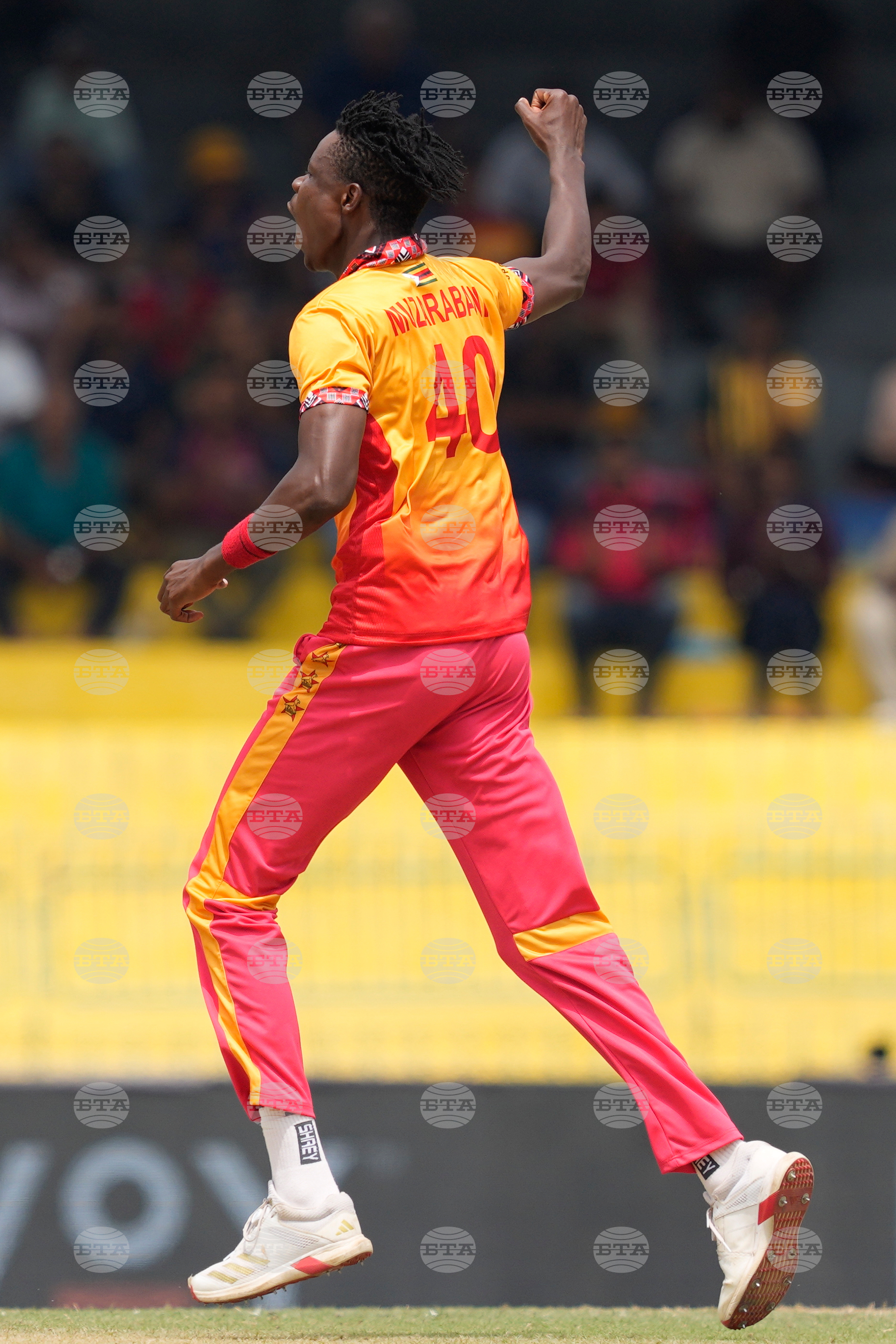 Australia Zimbabwe T20 WCup Cricket