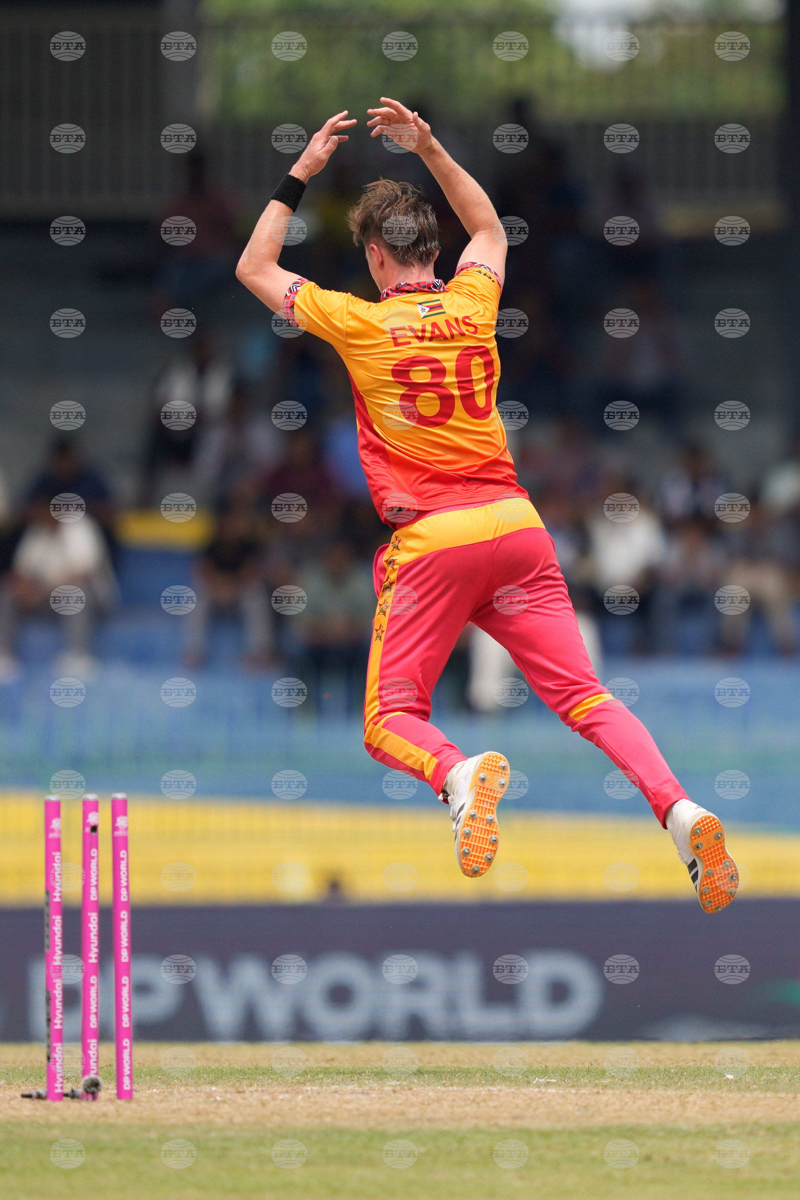 Australia Zimbabwe T20 WCup Cricket