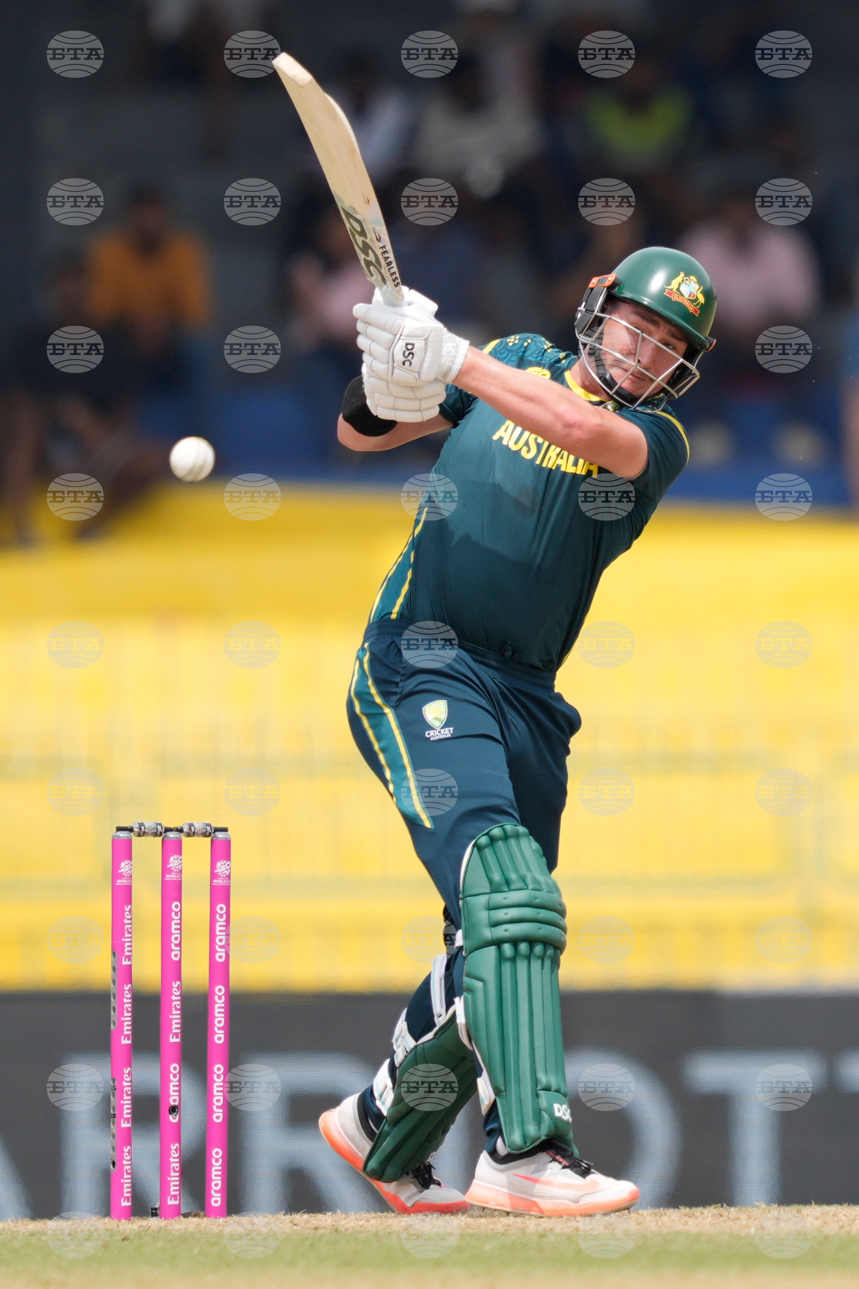 Australia Zimbabwe T20 WCup Cricket