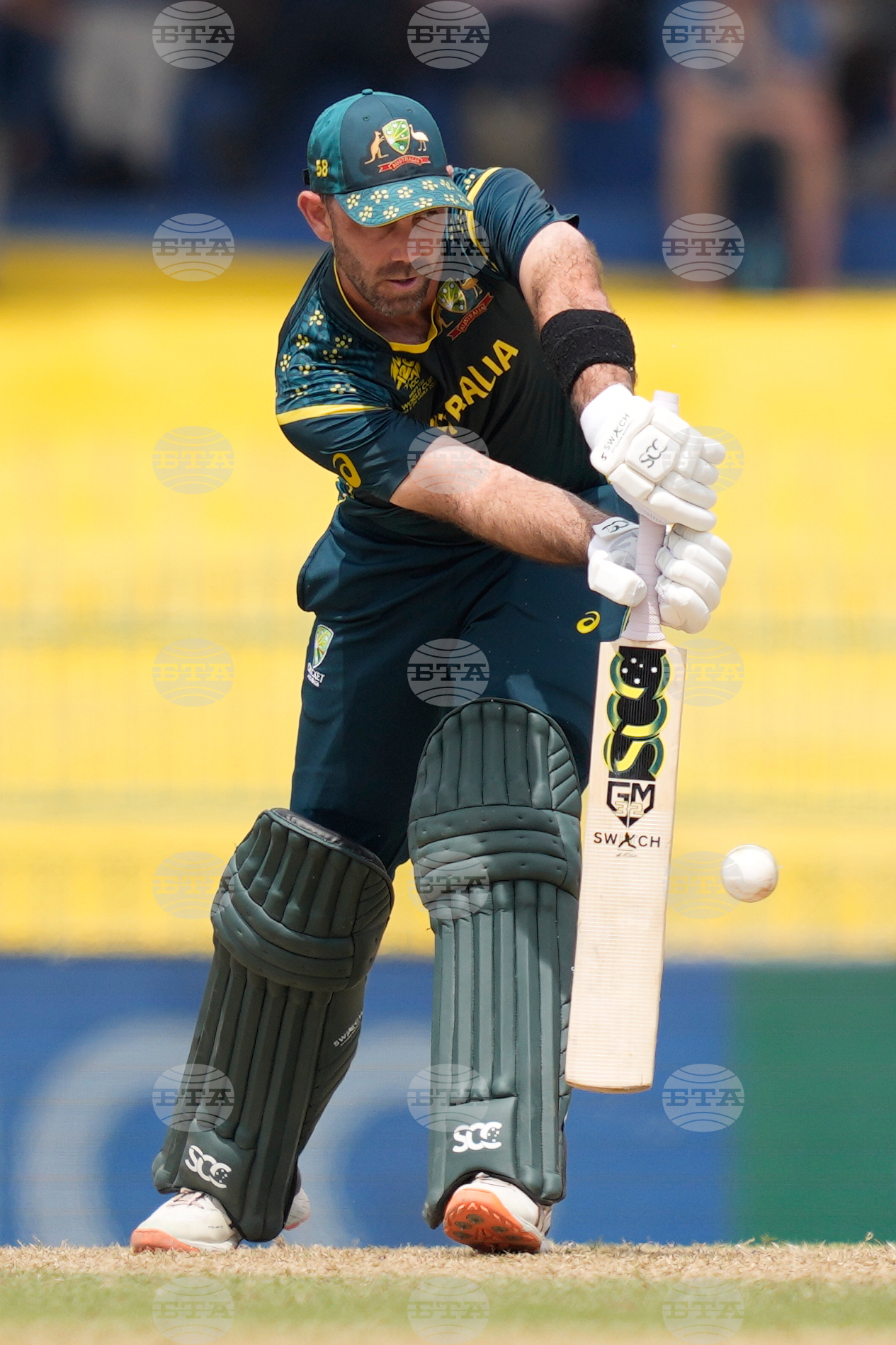 Australia Zimbabwe T20 WCup Cricket