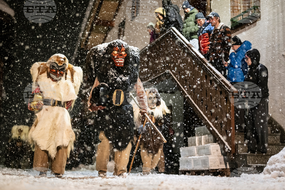 APTOPIX Switzerland Carnival