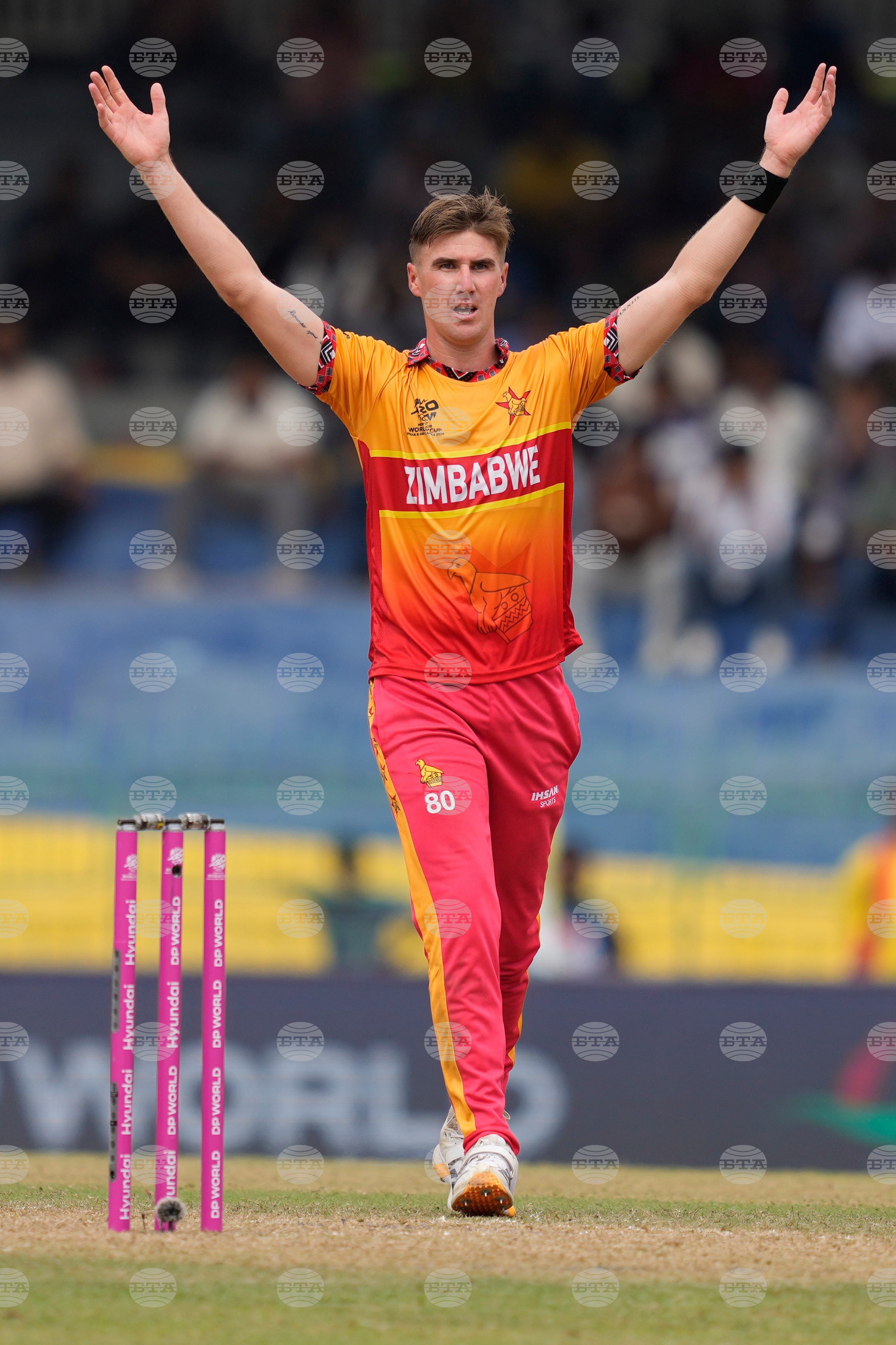 Australia Zimbabwe T20 WCup Cricket