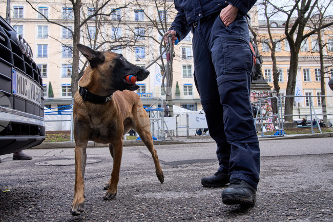 Германската полиция се опитва да установи съдържанието на флакон с надпис "Полоний 210", открит по време на великденско търсене на яйца