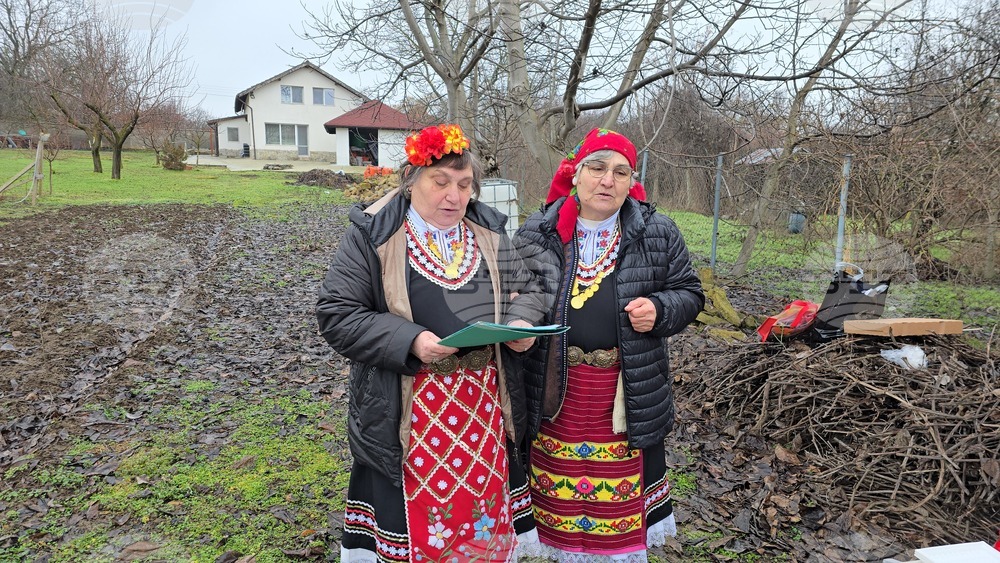 Село Горан - Трифон Зарезан - лозя