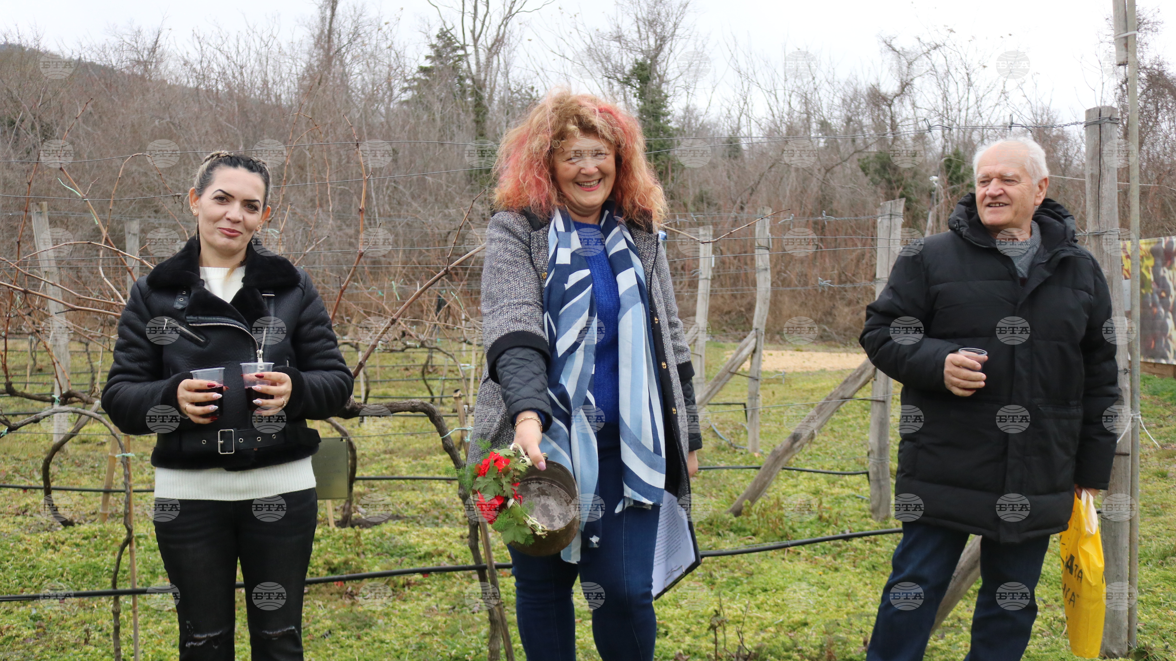 С ритуално зарязване на лозите и дегустация на вина Ботаническата градина в Балчик отбеляза Трифон Зарезан