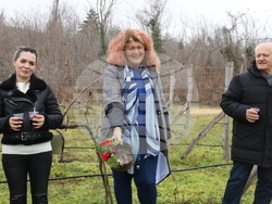 Балчик - Ботаническа градина - зарязване на лоза