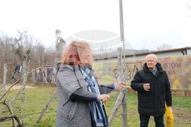 Балчик - Ботаническа градина - зарязване на лоза