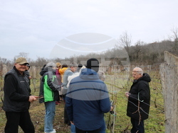 Балчик - Ботаническа градина - зарязване на лоза