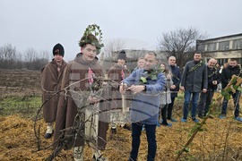 Плевен - Професионална гимназия по винарство и лозарство - Цар на лозята