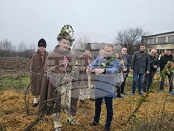 Плевен - Професионална гимназия по винарство и лозарство - Цар на лозята
