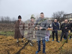 Плевен - Професионална гимназия по винарство и лозарство - Цар на лозята