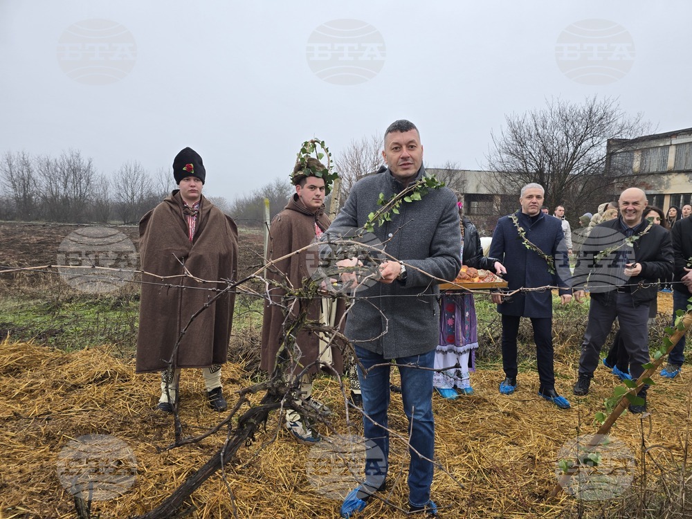 Плевен - Професионална гимназия по винарство и лозарство - Цар на лозята