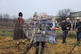 Плевен - Професионална гимназия по винарство и лозарство - Цар на лозята