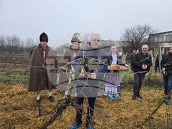 Плевен - Професионална гимназия по винарство и лозарство - Цар на лозята
