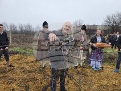Плевен - Професионална гимназия по винарство и лозарство - Цар на лозята