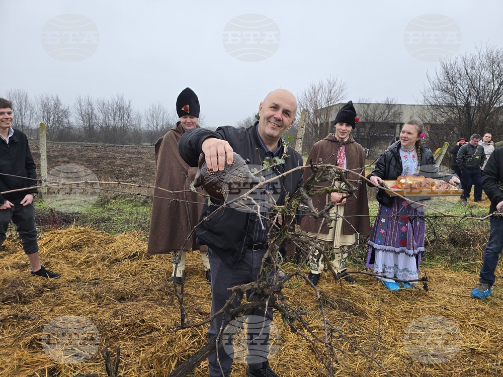 Плевен - Професионална гимназия по винарство и лозарство - Цар на лозята