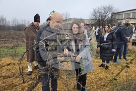 Плевен - Професионална гимназия по винарство и лозарство - Цар на лозята