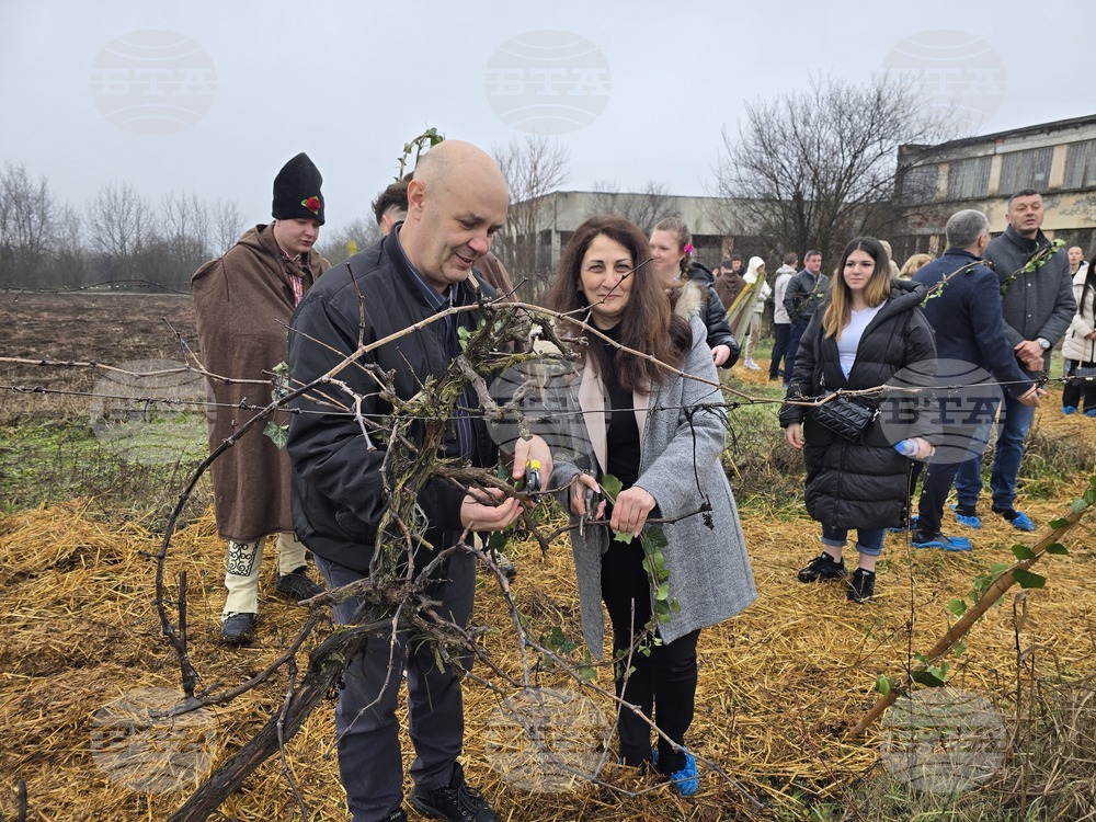 Плевен - Професионална гимназия по винарство и лозарство - Цар на лозята
