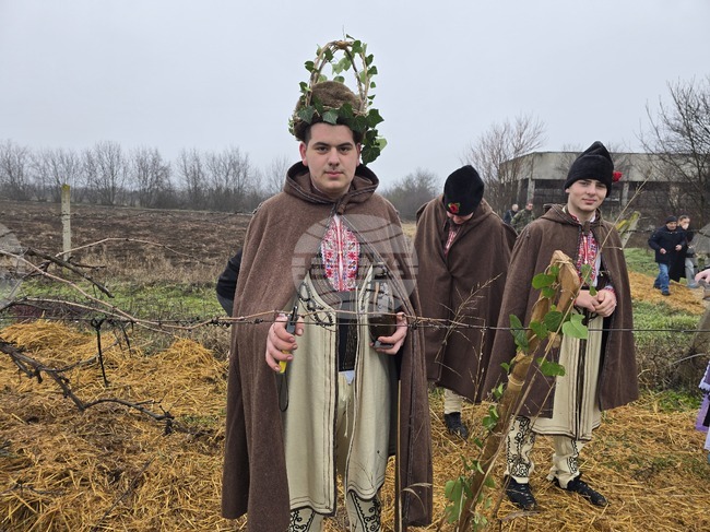 Избраният за Цар на лозята ритуално заряза лозите в професионалната гимназия в Плевен