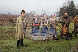 Село Брестник - Ритуал по зарязване на лозята