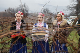 Село Брестник - Ритуал по зарязване на лозята
