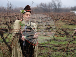 Село Брестник - Ритуал по зарязване на лозята