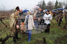 Село Брестник - Ритуал по зарязване на лозята