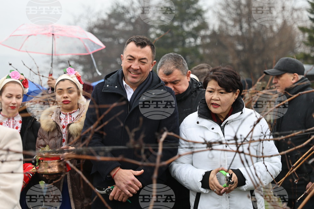 Село Брестник - Ритуал по зарязване на лозята