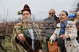 Село Брестник - Ритуал по зарязване на лозята