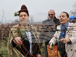 Село Брестник - Ритуал по зарязване на лозята