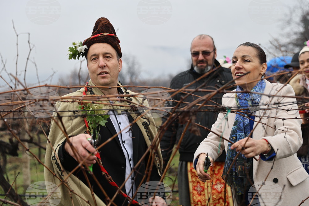 Село Брестник - Ритуал по зарязване на лозята