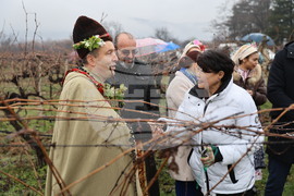 Село Брестник - Ритуал по зарязване на лозята