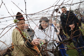 Село Брестник - Ритуал по зарязване на лозята