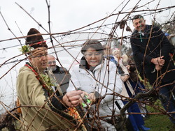 Село Брестник - Ритуал по зарязване на лозята