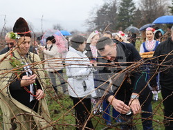 Село Брестник - Ритуал по зарязване на лозята
