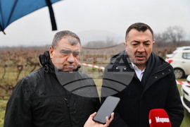 Село Брестник - Ритуал по зарязване на лозята