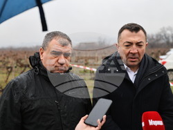 Село Брестник - Ритуал по зарязване на лозята