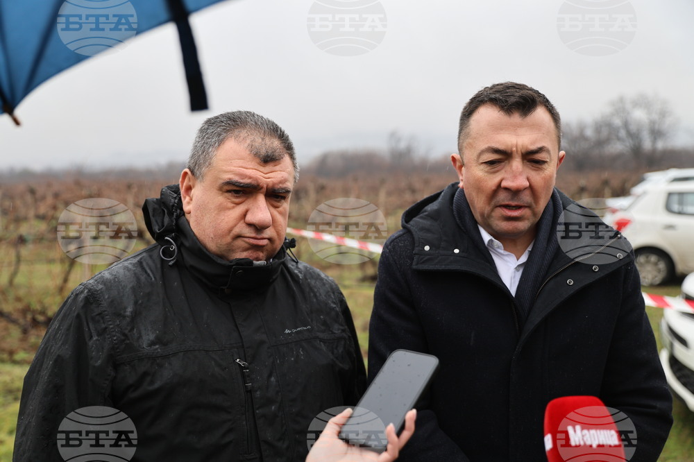 Село Брестник - Ритуал по зарязване на лозята