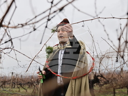 Село Брестник - Ритуал по зарязване на лозята