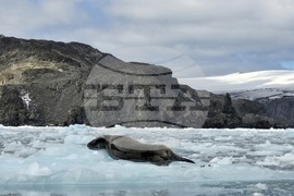 Antarctica - 34th Bulgarian Antarctic Expedition - RSV 421