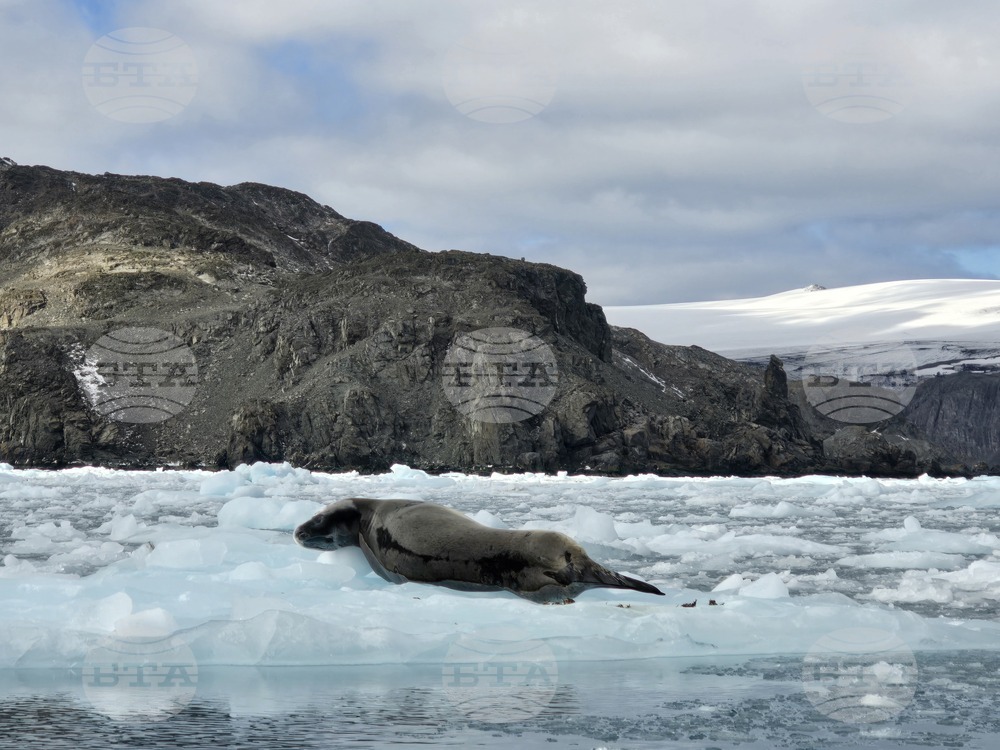 Antarctica - 34th Bulgarian Antarctic Expedition - RSV 421