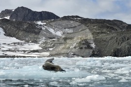 Antarctica - 34th Bulgarian Antarctic Expedition - RSV 421