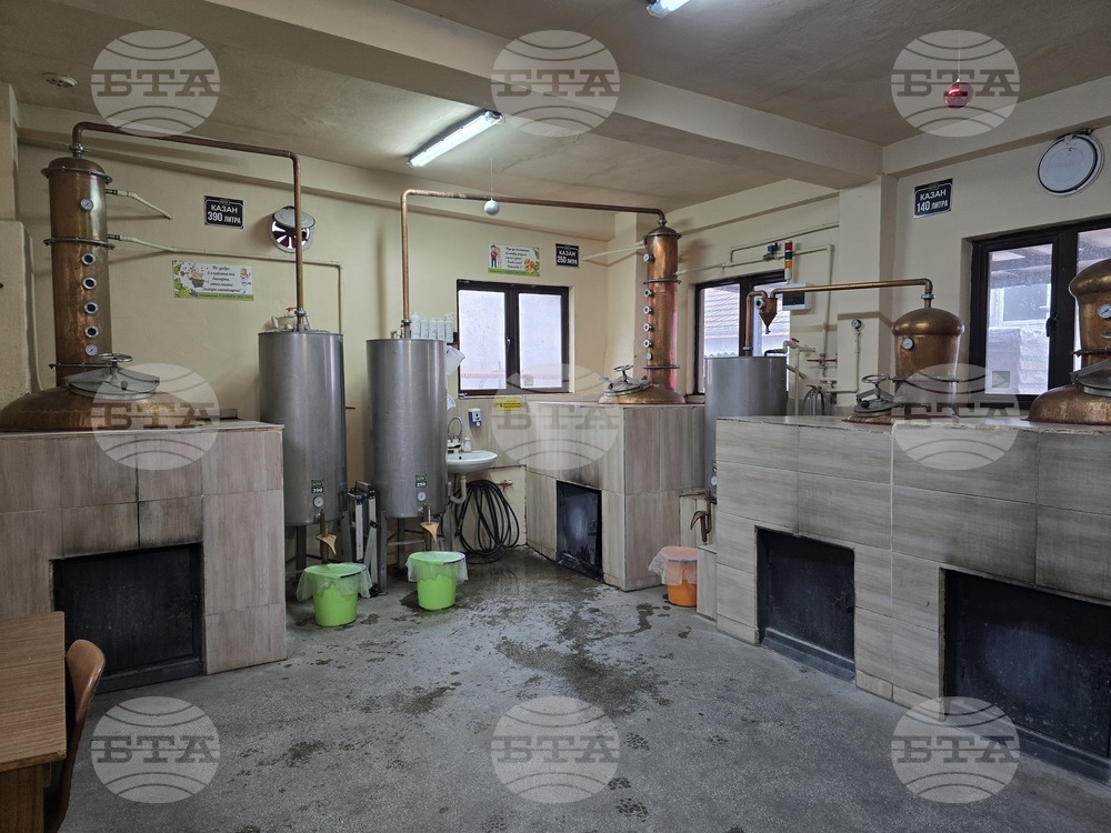 Свищов  - „Самира Дестил“ ЕООД - Избирам България