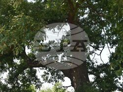 Снимка: Министерство на околната среда и водите